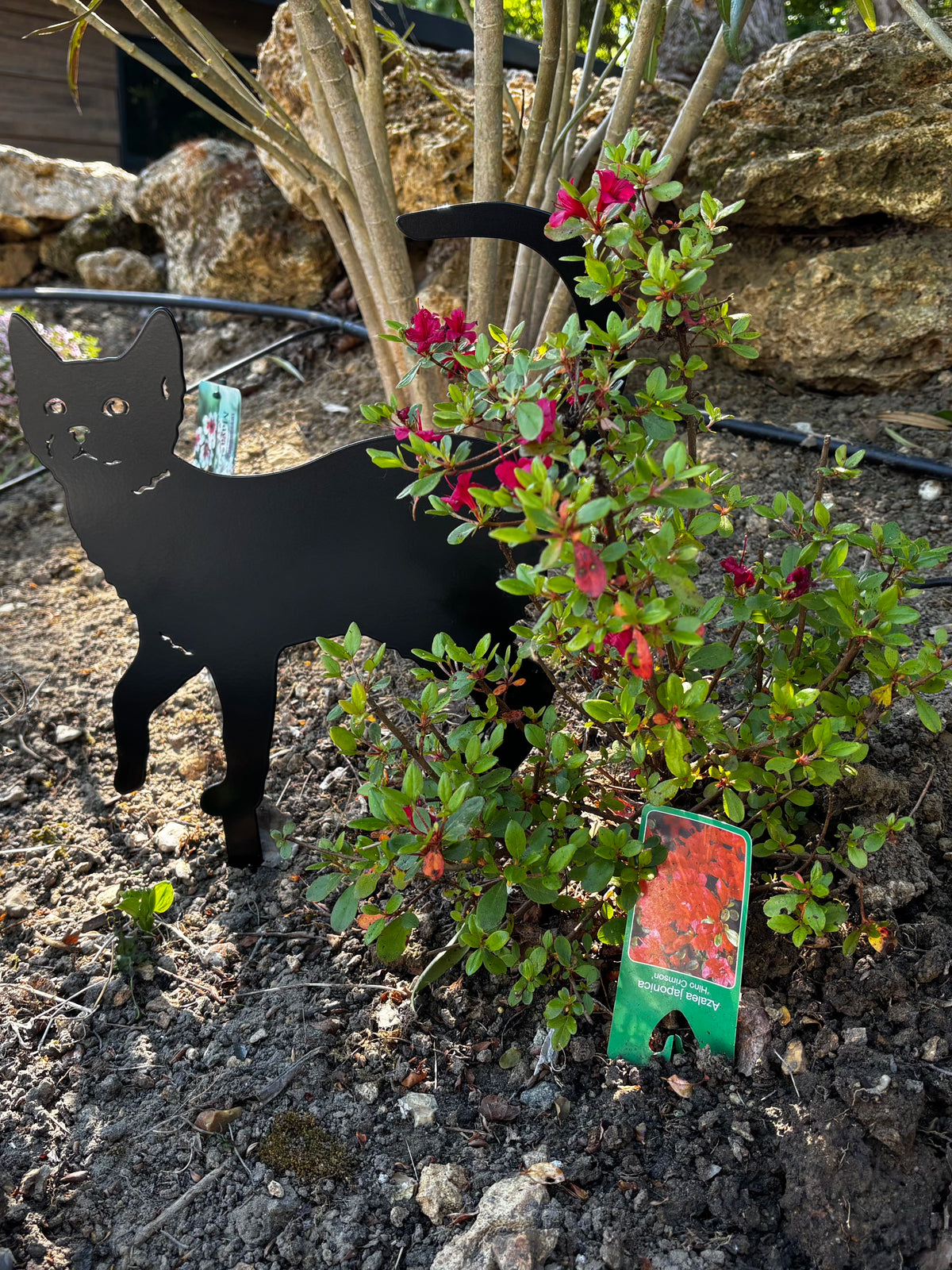 Silhouette de chat en métal découpé au laser pour décoration extérieure à planter dans vos jardins, balcons, terrasses