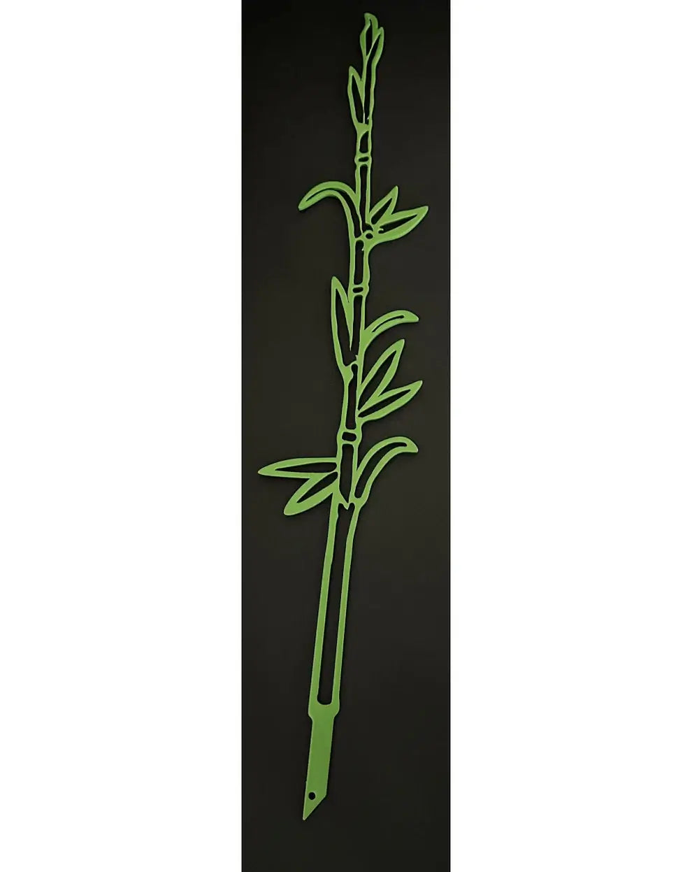 Tige de bambou à planter en intérieur comme en extérieur
